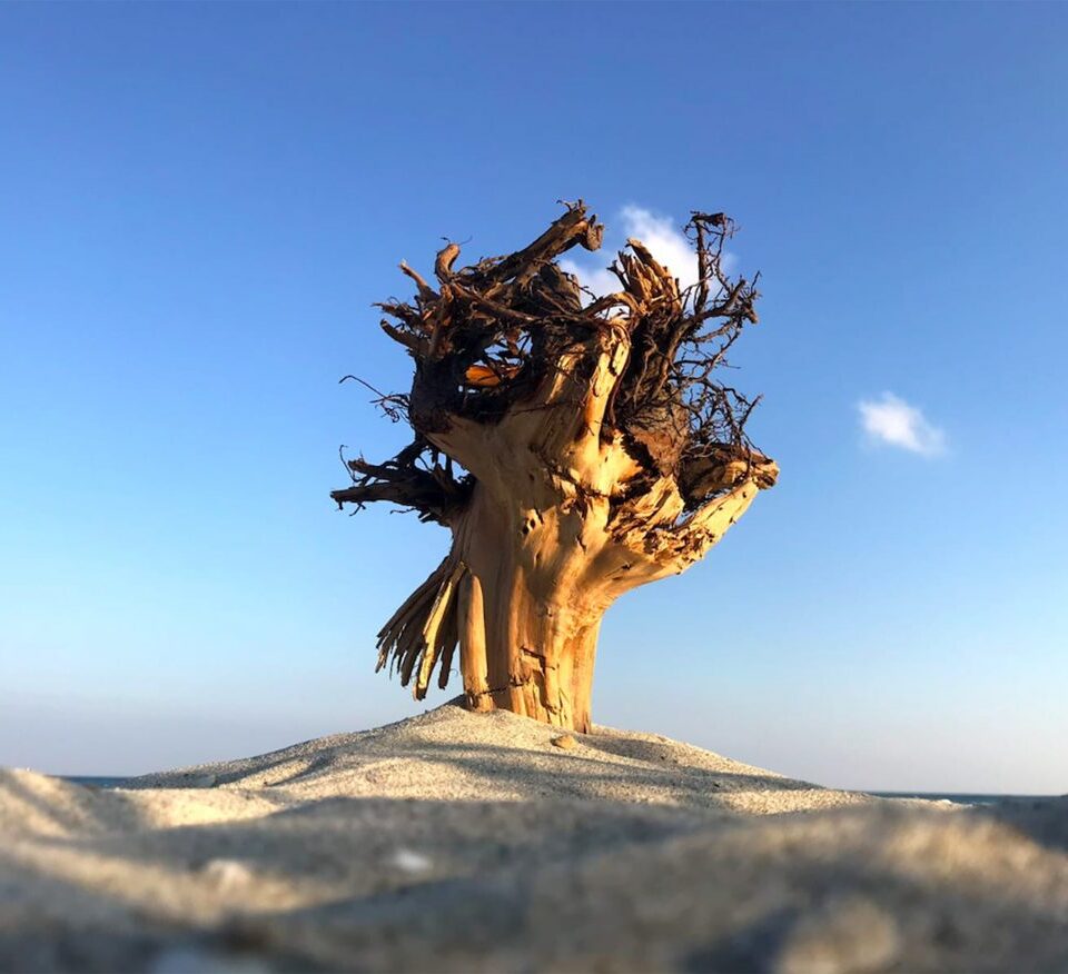 Terk Edilmiş Kıyılar // Negatif Fotoğraflar oyun afişi.