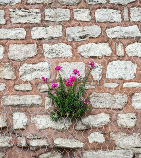 Bugünden Geleceğe Bakış-Aslı Kaplan, Rümeysa Ercan,Eylem Ejder/TEB Oyun Dergisi-Gelecek Sayısı. Görsel: Çağrı İşbilir "İstanbul Surları Fotoröportaj Dizisi" adlı çalışmasından 2024