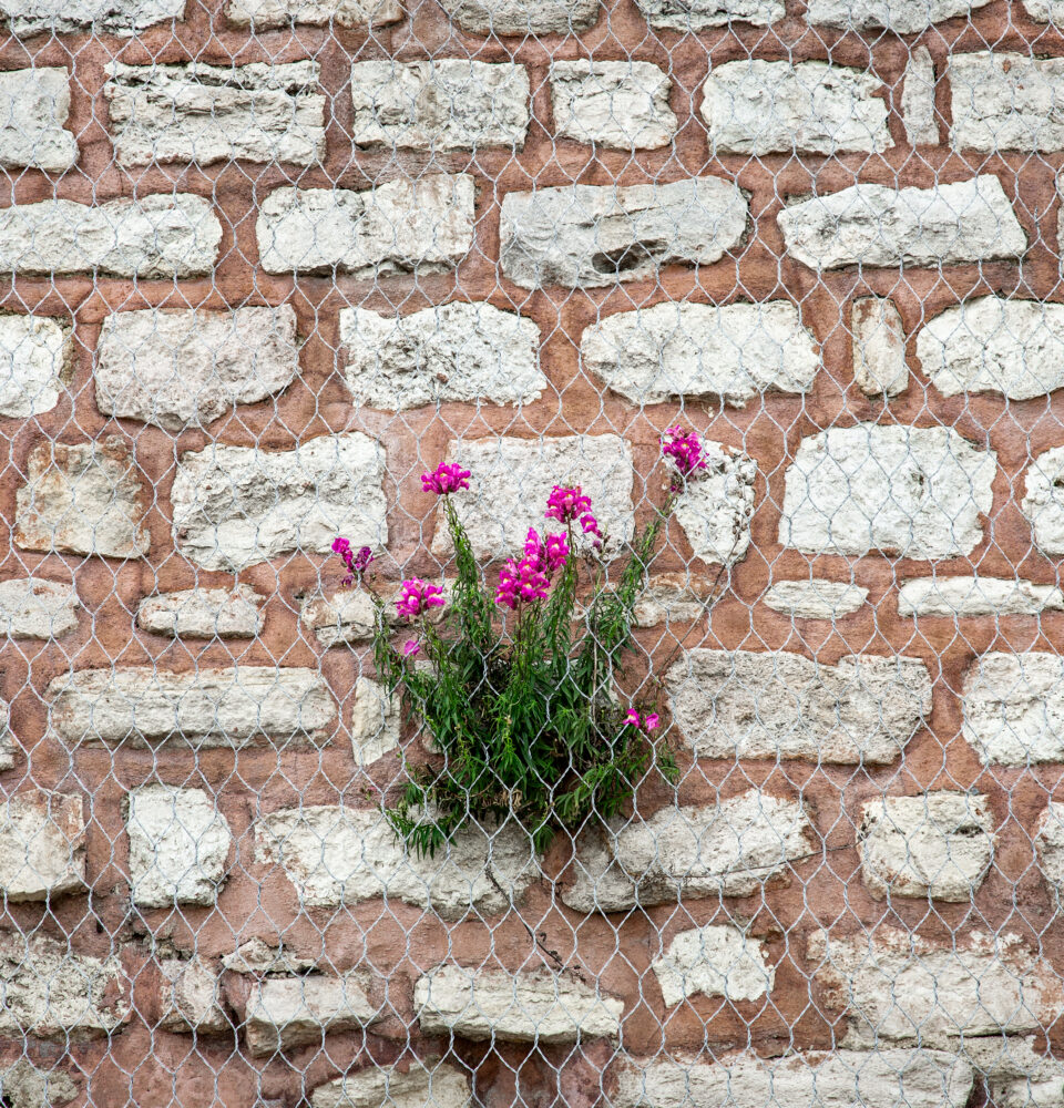 Bugünden Geleceğe Bakış-Aslı Kaplan, Rümeysa Ercan,Eylem Ejder/TEB Oyun Dergisi-Gelecek Sayısı. Görsel: Çağrı İşbilir "İstanbul Surları Fotoröportaj Dizisi" adlı çalışmasından 2024