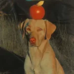 Anın Çapası-Zülal İzel Eser/TEB Oyun Dergisi-Genç Eleştiri