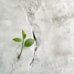 Bizi Duyan Var mı?-Defne Güçsav/TEB Oyun Dergisi-Gelecek Sayısı