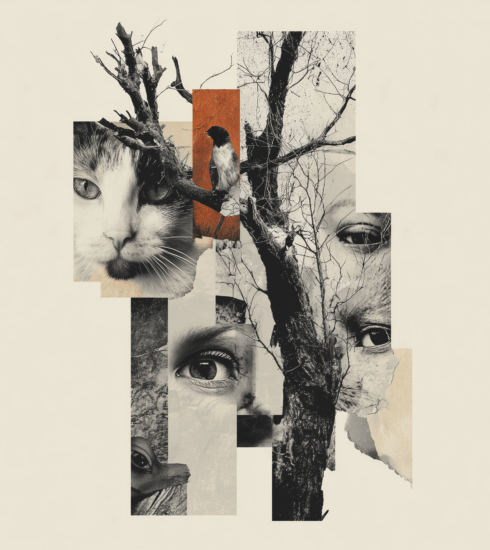 Kuyu-Elif Ongan Tekçe/TEB Oyun Dergisi-Gelecek Sayısı