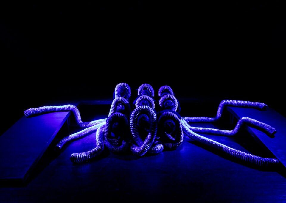 Filler ve Karıncalar-Zehra İpşiroğlu/TEB Oyun Dergisi